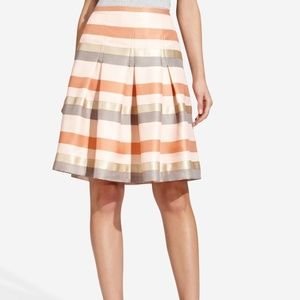 NWT Multi-color Striped Pleated Skirt (L)